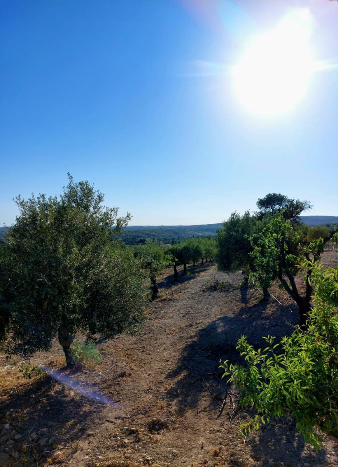 "Bnb Noto" - Charming Tiny House Exterior photo